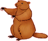 GROUNDHOG DAY